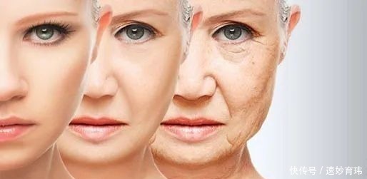 油脂|毛孔粗大影响你的美丽容颜,别慌!知己知彼才能百战不殆!