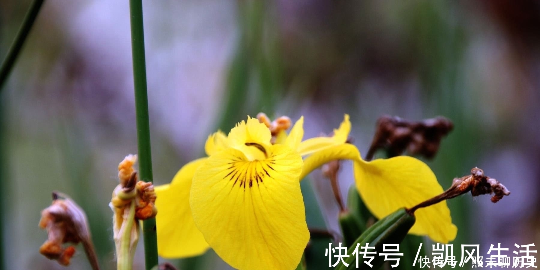 脾气|人若有这三个修养,就会让自己的内心变得越来越强大,无坚不摧