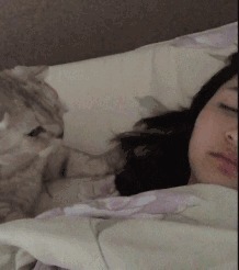 |搞笑GIF：逗什么都行可千万别逗猴子，不然这就是下场