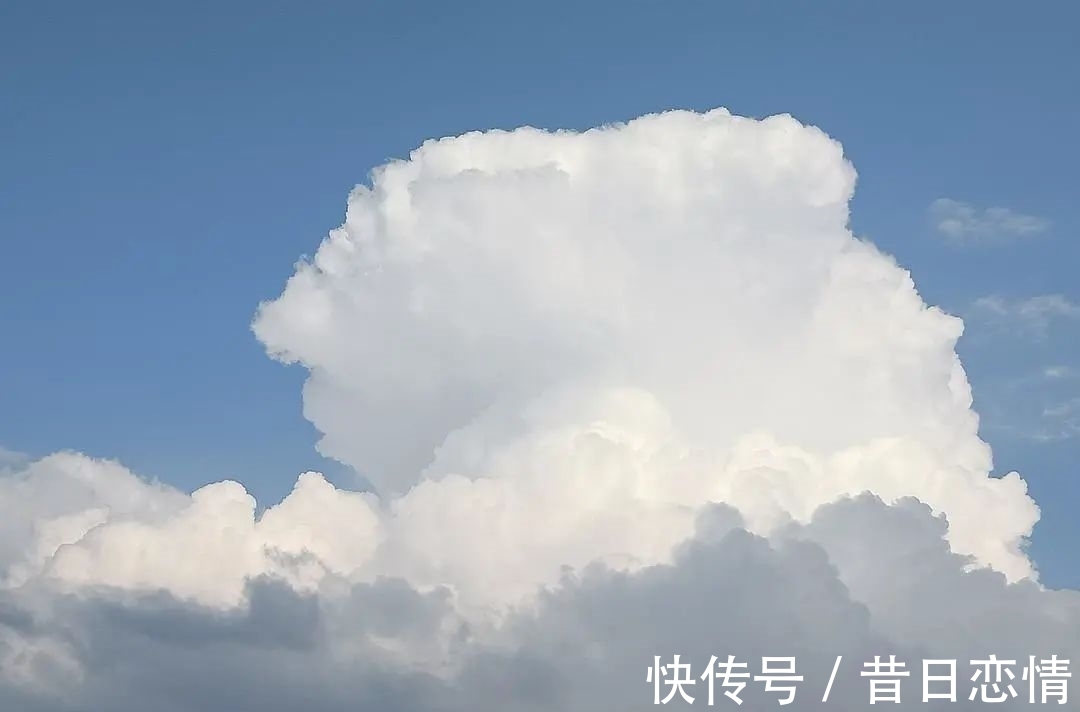 诗句|当年背到头秃的古诗,瞬间读懂了……