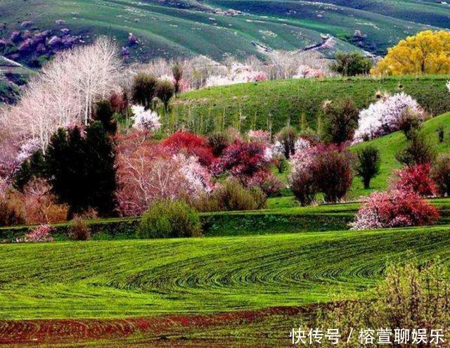 美景|亚洲最大的野果林，是新疆深山里的世外桃源，静谧的花海令人向往