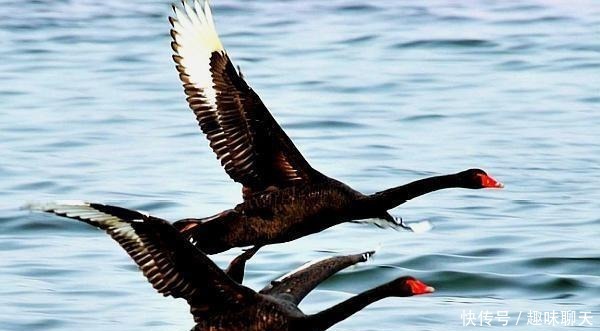 内向的人|最终获得成功的人,都是被人忽视的“内向”孤独者