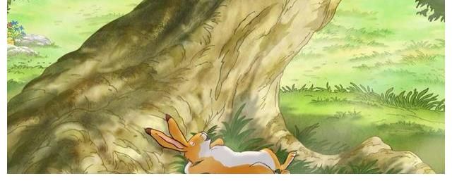 小兔子$一本励志的绘本书籍,读懂真实的爱意满满——推荐销量1800万