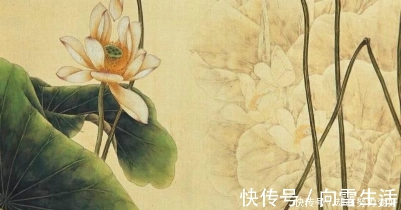 诗人&杨万里最唯美的一首诗,短短的四句,却是写出了世间最美的荷花!