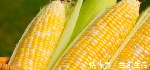 抗衰老|想长寿得会“吃”,常吃三种食物,促进消化,肠道干净,早吃早好