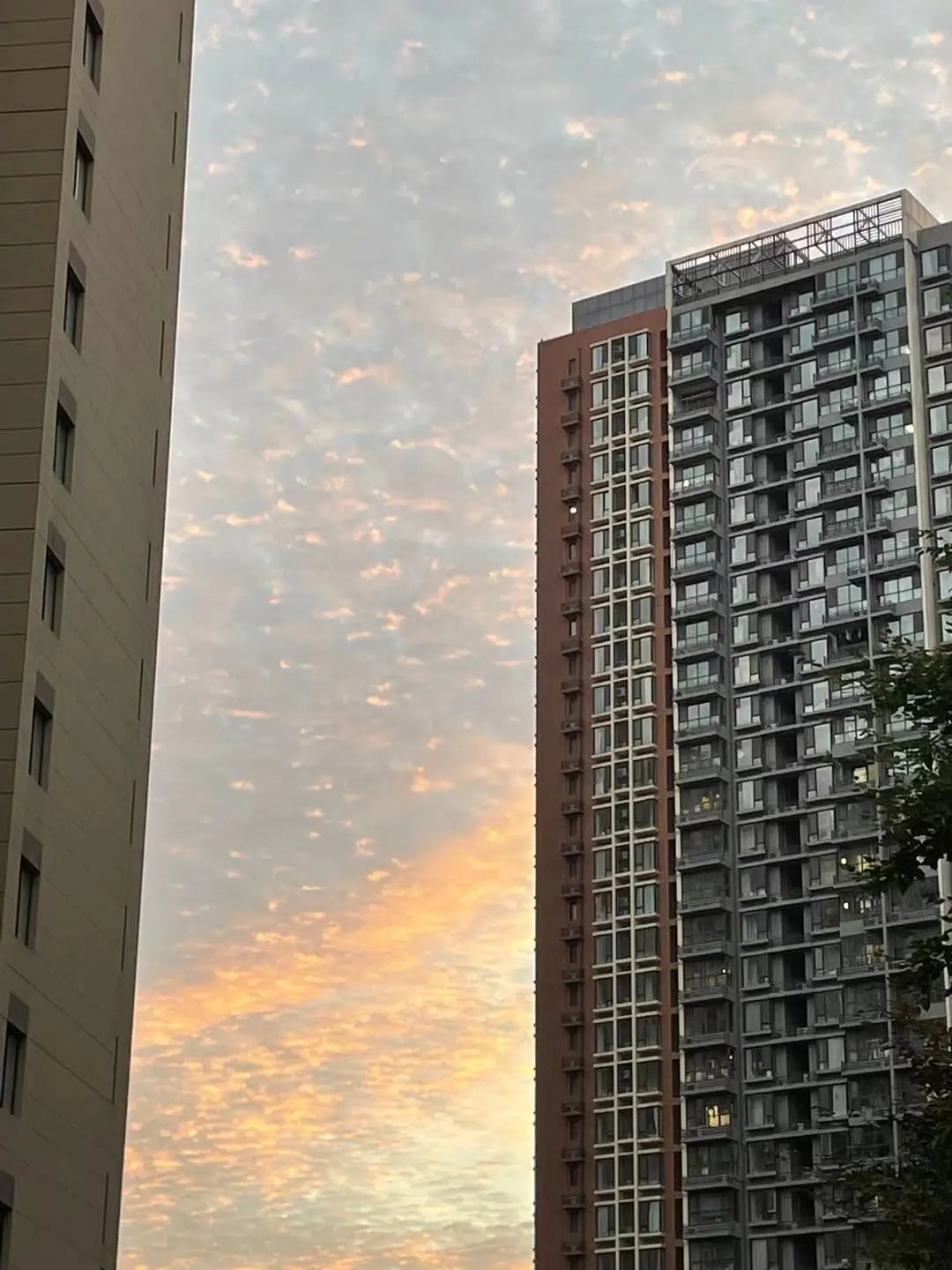 人约黄昏后#诗词丨给40首古诗加上配图,恍然大悟,惊为天人