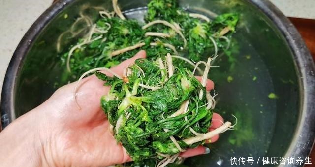 冬天，吃萝卜白菜不如吃它，鲜嫩营养高，遇到多囤些，从冬吃到春！