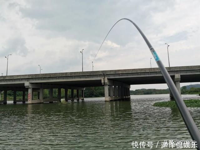 钓鱼时总是挂到鱼鳞?只需简单调整,就能轻松把鱼钓上岸