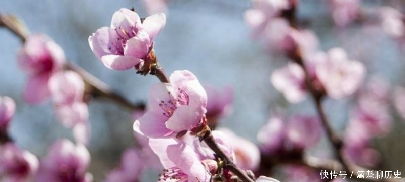 白居易很有哲理的一首诗,看似写得很普通,但读来令人赞叹不已!