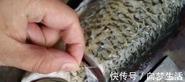 腥法|去鱼腥味,加酒加醋都不对,大厨教你去腥,上桌连汤汁都不剩