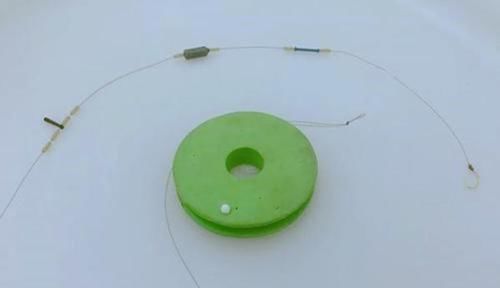 冬天钓鲫鱼，用双铅钓组，搭配红虫做饵料，钓大鲫鱼有点“狠”