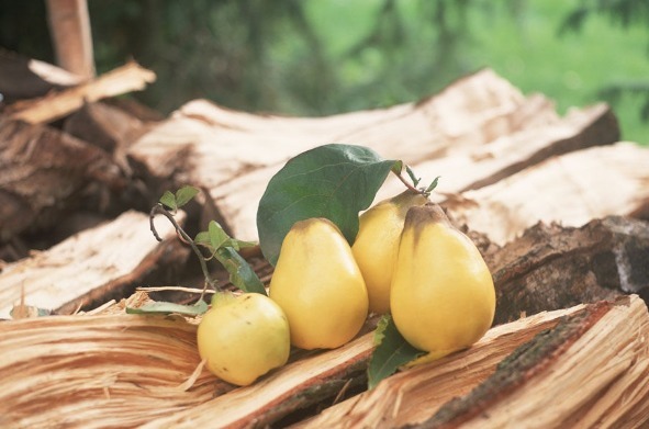 咳嗽|半个萝卜一个梨,再严重的咳嗽,喝两次,保证“药”到病除