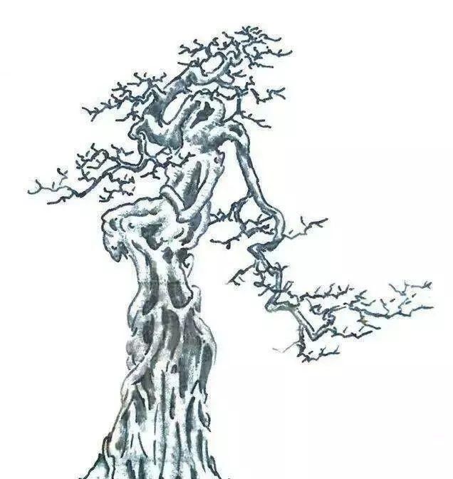 韵味|值得收藏的盆景设计图,别有韵味