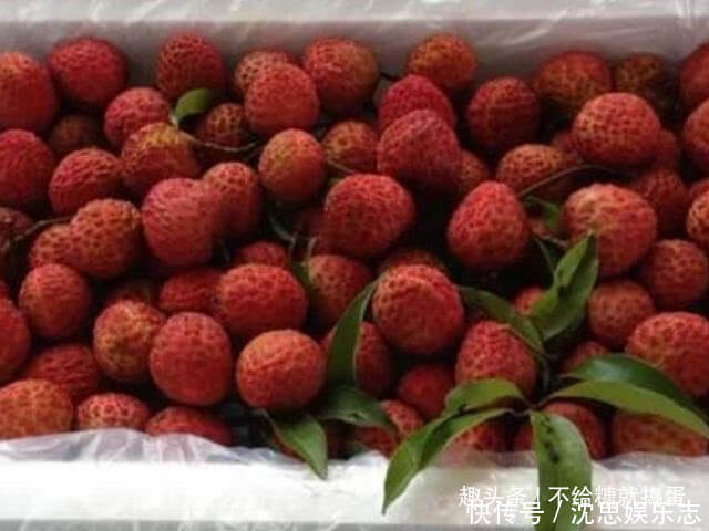 蓝莓|三伏天来了,平时多吃4种水果,滋养肌肤,或还能助你延缓衰老