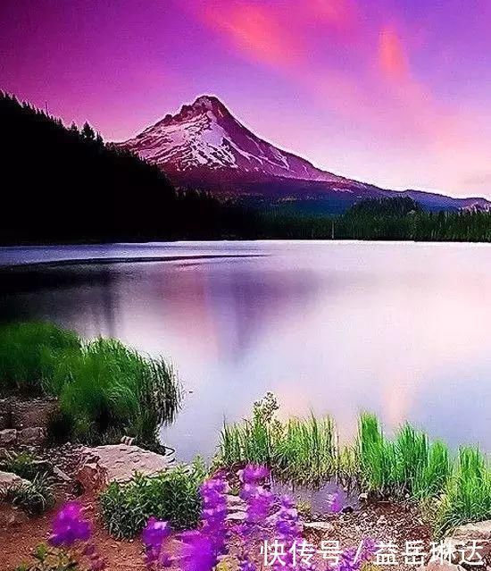 太美了，世界照片今天终于传来，罕见至极，一睹为快