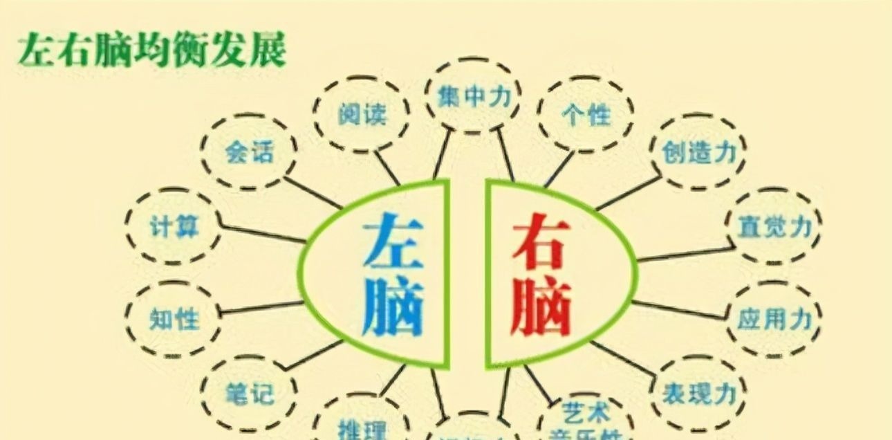 美国儿童学会|麻省理工最新发现:孩子大脑发育的最佳方法,并非是靠“阅读”