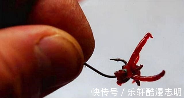 冬天钓鱼,蚯蚓和红虫哪个效果更好老钓手告诉你答案