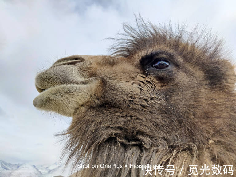 摄影|拍照推荐 I 国庆长假旅游带哪款手机去？