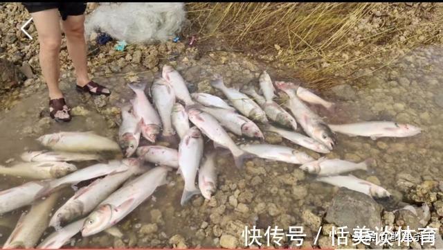 骆马湖|万人抢鱼:宿迁骆马湖关闸,引来万人抢鱼,现场人比鱼多