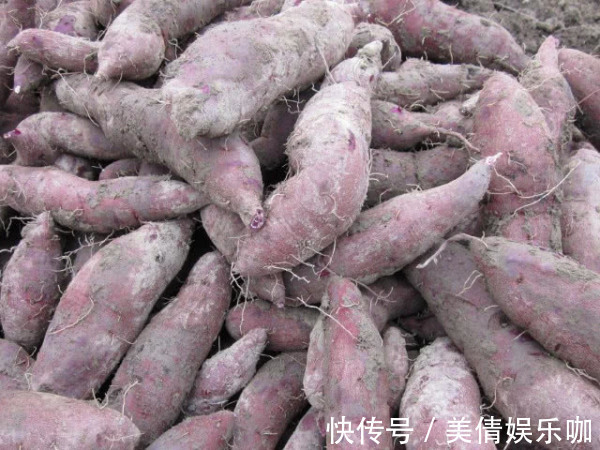 血液粘稠度|高血压要“忌嘴”,这4种食物要少吃,当心血压“难以下降”