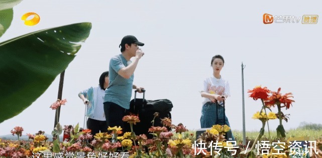 蘑菇|薇娅《向往4》直播带货,却遇节目组不公正待遇黄磊举动见人品