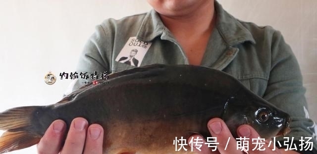 三道鳞|这鱼在北方很常见，一斤12元，肉多刺少，炸好一红烧，吃着真解馋