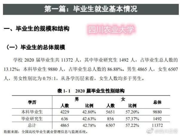 川内高校哪家强？男女比例&毕业薪资排行榜来了