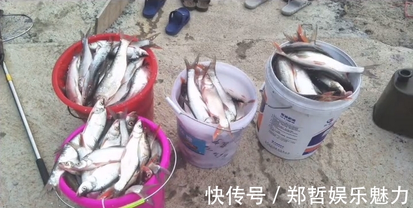钓鱼人|冤不冤？江西钓鱼人网上炫耀渔获，被网友一致吐槽
