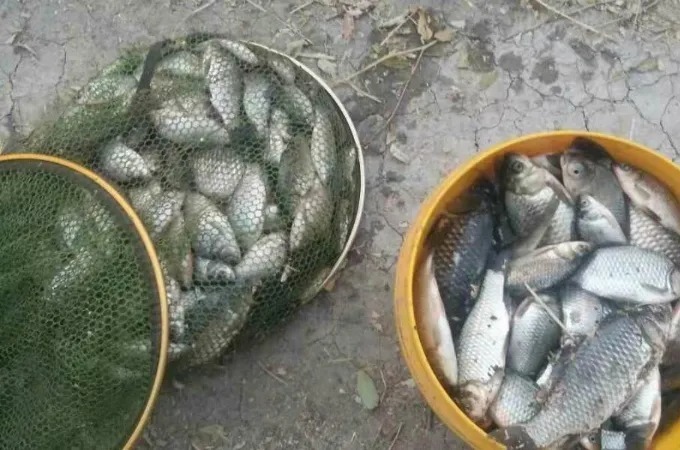 悄悄告诉你:其实不管在哪钓,铅坠这样调整后,一根鱼竿钓到手酸