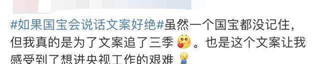 央视教你写文案,《如果国宝会说话》好绝!