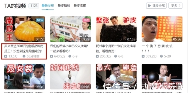 更上一层楼|敬汉卿挑战300斤南瓜王，自嘲是在吃猪食 ，发布不到一小时播放量上10W