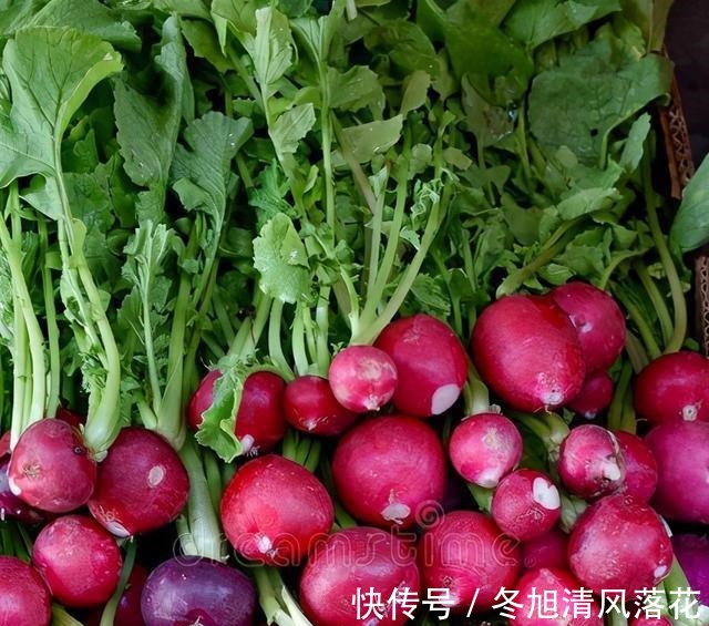 老妈|菜重芥姜，萝卜也该算上一份的吧！