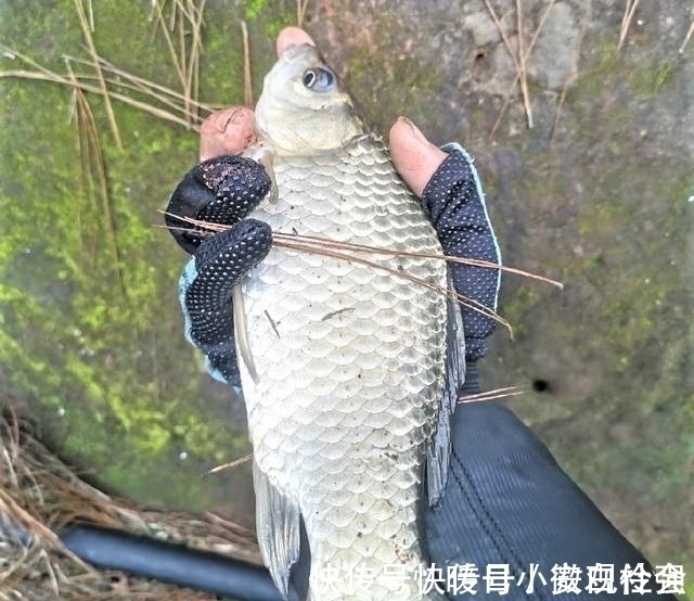 四钓二与调平钓二|野钓时调四钓二与调平钓二,哪种调漂方法更好?
