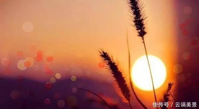 人到六十,夕阳无限好