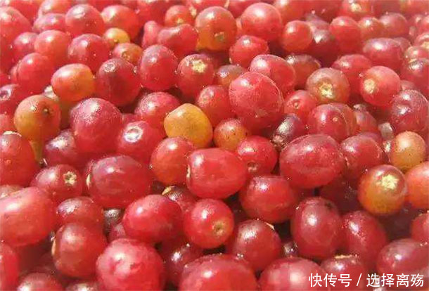 50歲以后多吃“排毒圣果”,排出毒素,軟化血管,抗衰老更長壽