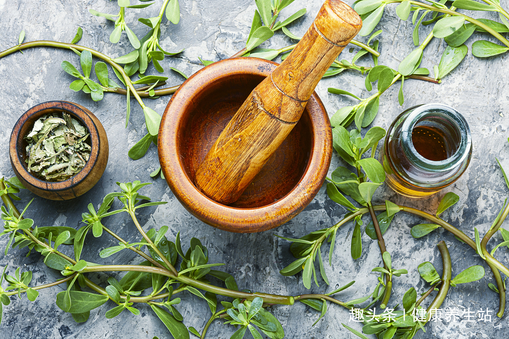 掉发|农村野菜马齿苋拿来洗发，让你告别白发和掉发