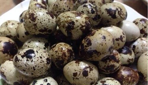 增生|堪称黄体酮“加油站”,女性经常吃点,消散结节,调理增生