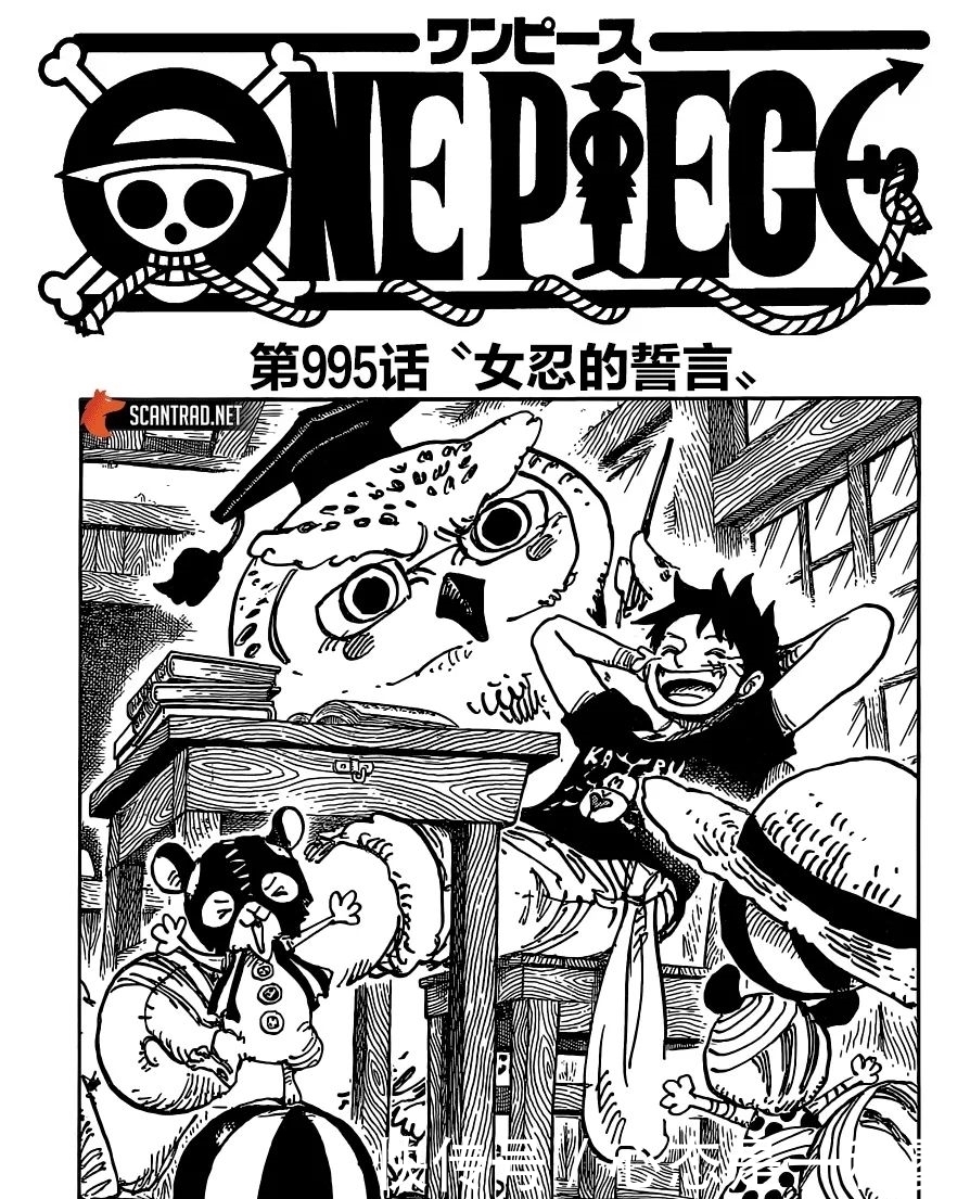 誓言|995话海贼王汉化更新：卷名[女忍的誓言], 都猜是小忍，错啦，是娜美