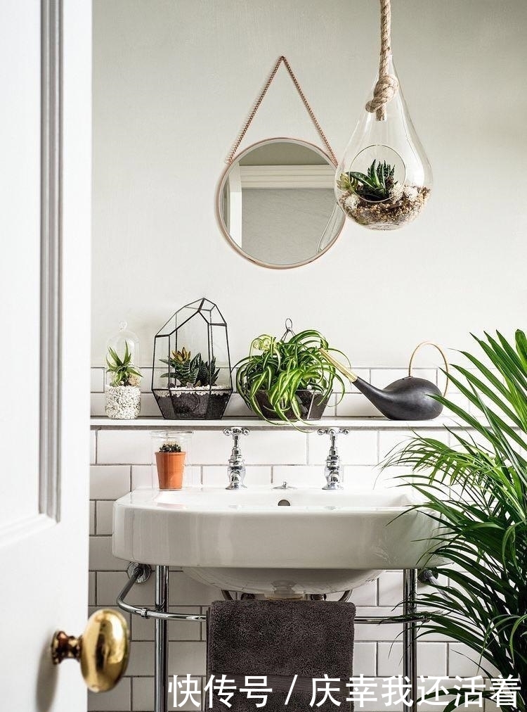 媳妇儿,你把卫生间都种成了花园,人家都不好意思在里面蹲坑了!