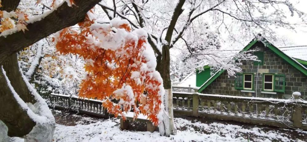 邂逅|来莫干山，邂逅一场冰雪奇缘吧！