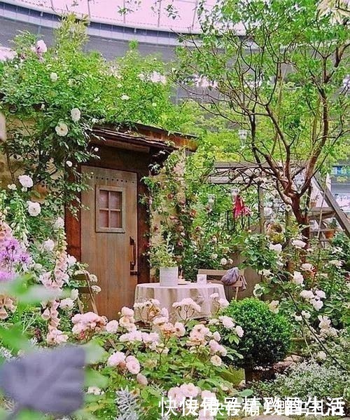种菜|别墅院子这样设计，庭前栽花，屋后种菜，实现梦想中的田园生活！