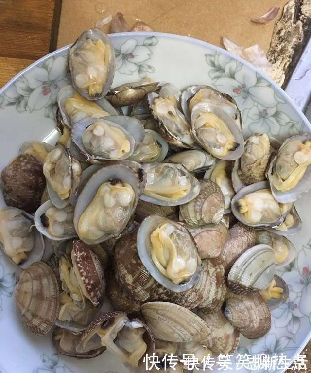 美味|教你炒花甲,简单又好做,鲜香美味,一上桌就吃光