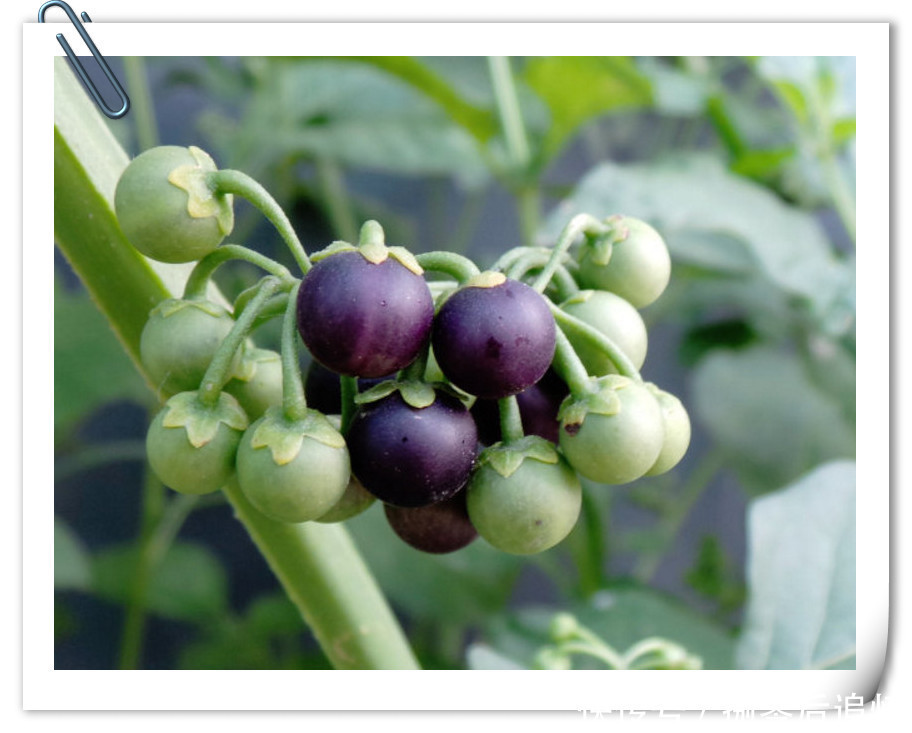 趣事|两亿多80后的童年趣事之美食篇