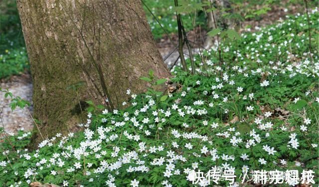 好好学习|带孩子尽量多去三个地方,孩子不想优秀都不行