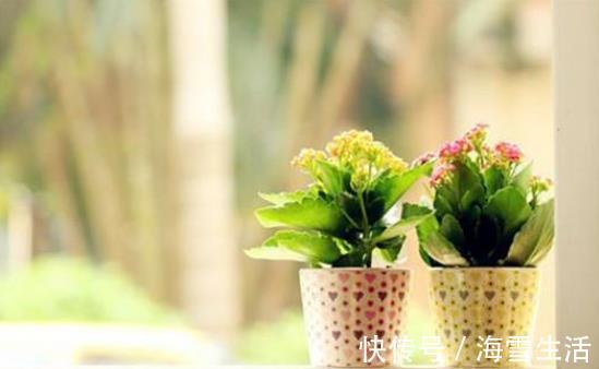 还在按天给花浇水?那你的花离死不远了