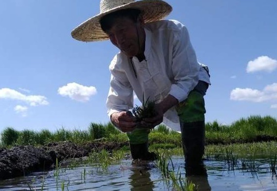 “星光大道”爆红，巅峰时拒绝商演回家种地，马广福后来怎么样了？