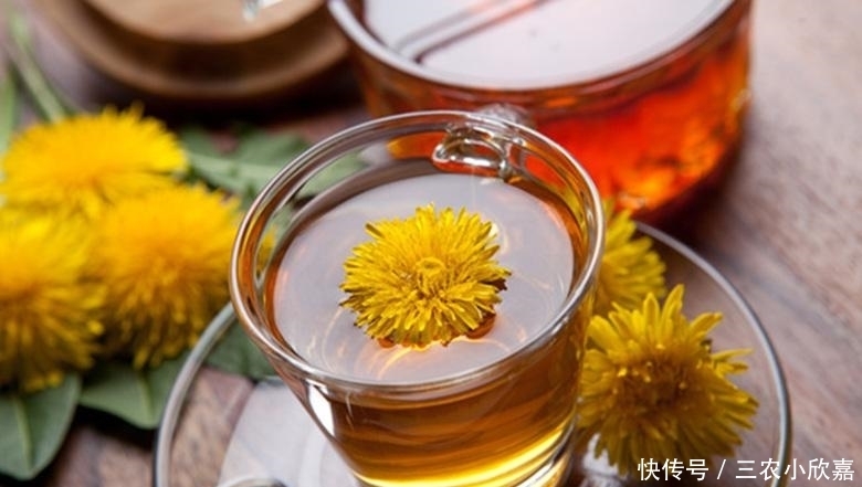 蒲公英泡水喝的利与弊你了解多少