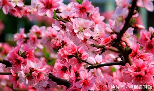 李煜写了首很唯美的词,随便拿出一段都是千古名句,如今人人会背