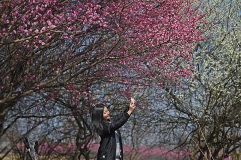 中年|花靓郊野引人来