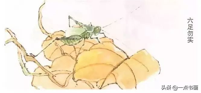 蝈蝈@国画教程——蝈蝈的画法